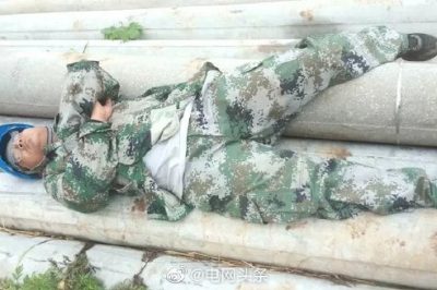 在發(fā)燙的電桿上睡覺(jué)是種什么體驗(yàn)