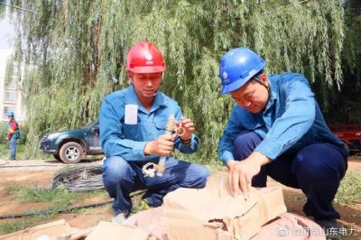 肥城市供電公司對(duì)10千伏鳳新線開展線路檢修工作