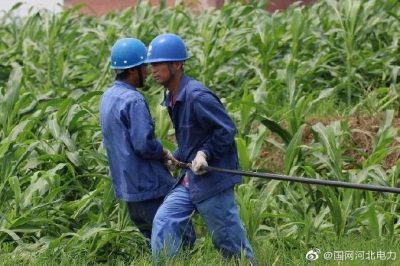 無極縣供電公司開展雨后防倒桿排查工作障線路安全穩(wěn)定運行