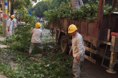 祁陽縣供電公司通宵未眠完成10千伏黎城I線進(jìn)行砍青作業(yè)