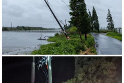 抗擊“利奇馬”的燃情時光–積極應對災情