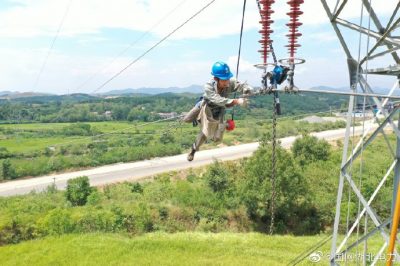 “不要命”的蛇爬上桿塔導致線路跳閘