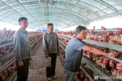 東光縣供電公司購(gòu)買(mǎi)養(yǎng)殖戶雞蛋助力陳坊村實(shí)現(xiàn)精準(zhǔn)脫貧