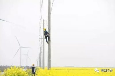 14億人全民通電如何做到的？18根電桿為1戶供電，100年無法回本