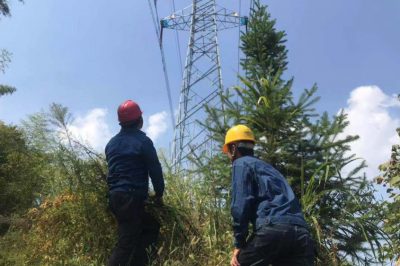 國網(wǎng)旌德縣供電公司：巡線人的堅(jiān)守