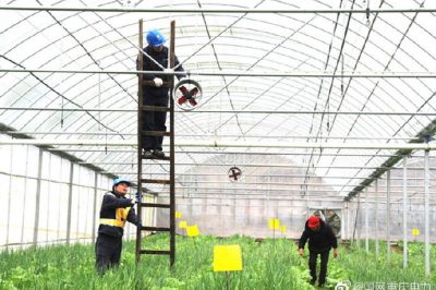 告別2019，我們做到了—上級決策部署全面完成