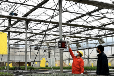 提質增效：重慶電力聚焦“六個提質” 服務社會經濟發(fā)展