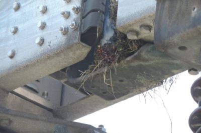 輸變專業(yè)合作，火攻刀閘鳥(niǎo)窩