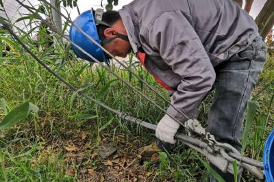 肇事拉線傷、電工搶修忙