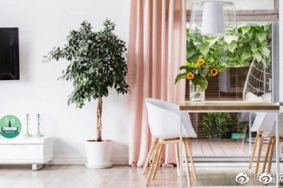 你家這位“偷電大盜”，每個月偷10度電呢