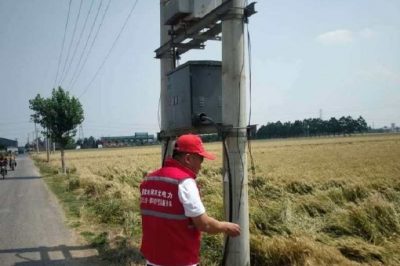 保供電#喜看稻菽千重浪，電力小哥巡視忙 “安全豐收”