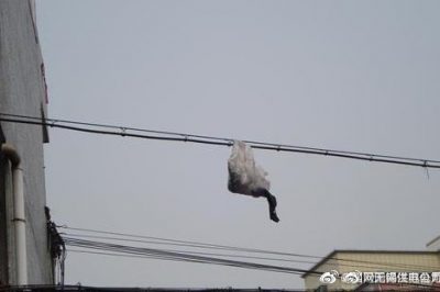 你的隨手一“拋”，可能導(dǎo)致跳閘停電！