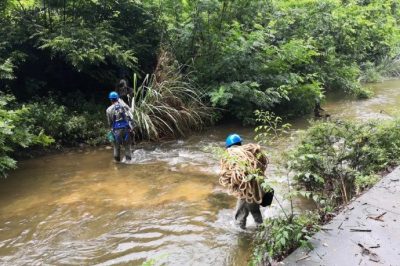 利用X光檢測設(shè)備對(duì)導(dǎo)線進(jìn)行“全面體檢”
