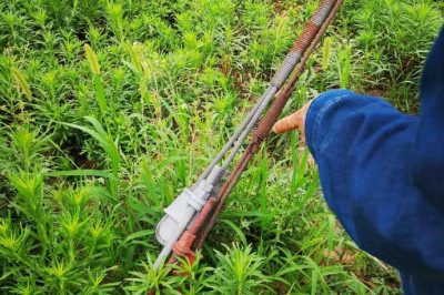 重點(diǎn)檢查防撞標(biāo)識、接點(diǎn)測溫、螺栓及拉線松動