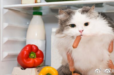 電冰箱省電良方，走過路過別錯過??！