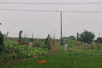 遭遇龍卷風(fēng)突襲10千伏清東線發(fā)生倒桿、斷線事故