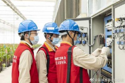 為大棚電力線路、電氣化設(shè)備進(jìn)行縝密排查和整改消缺