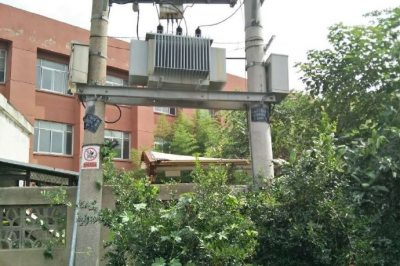 清理排除柱上變壓器周?chē)鷺?shù)木