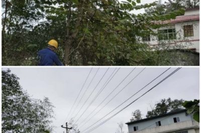 對(duì)10千伏禾臘線(xiàn)消水坨臺(tái)區(qū)、石家寨臺(tái)區(qū)進(jìn)行巡視