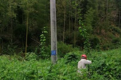 配電運(yùn)行員清理10千伏黃陶線#1050號(hào)桿通道內(nèi)的藤蔓和樹(shù)障