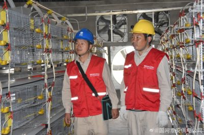 紅馬甲服務(wù)養(yǎng)殖戶 投運(yùn)前安全用電檢查