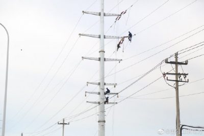 完成15號(hào)鐵塔至26號(hào)鐵塔的導(dǎo)線敷設(shè)工作