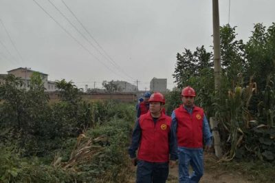 對10千伏534清崗線開展專業(yè)特巡