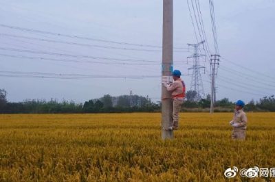 對(duì)轄區(qū)內(nèi)農(nóng)田邊的所有的線路進(jìn)行診斷性巡視