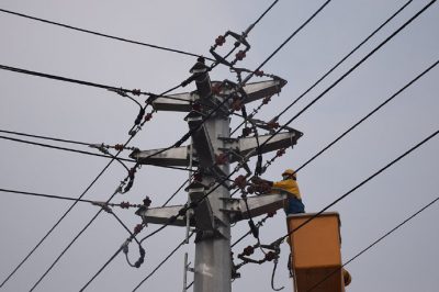 在10千伏振興線6號桿開展帶電作業(yè)
