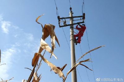 對10千伏春興線海防支線進(jìn)行清掃、檢修