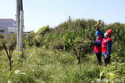 到10千伏文安032線為電力設備紅外測溫