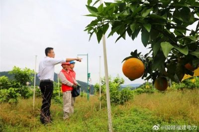 助農(nóng)增收 金秋助農(nóng)上門(mén)服務(wù)