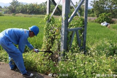 清除纏繞藤蔓，為桿塔“理發(fā)”