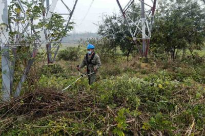 對500千伏龍斗一二三回線路進(jìn)行巡視