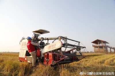 助力特色田園鄉(xiāng)村秋收用電安全