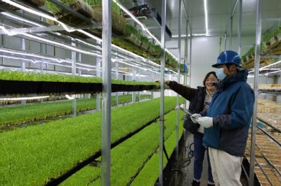 助力綠色產(chǎn)業(yè)發(fā)展供電優(yōu)質(zhì)服務(wù)先行