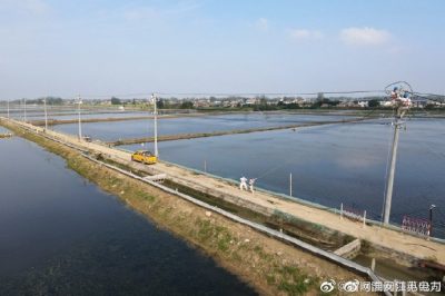 漣水縣金綠園水產(chǎn)養(yǎng)殖場架設10千伏線路